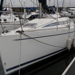 エラン２９５・入荷予定