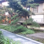 いつも掃き清められた慈眼院の庭