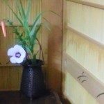 涼しげな葦戸と木槿