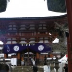 雪を乗せた御神殿