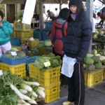 農家が春野菜をどっさり