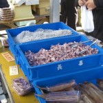 しらすとヒイカ