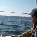 知人のセーリングが心配？