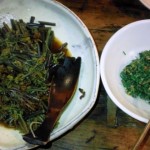 ゼンマイの煮付けと蝦夷ウツギの鬼ぐるみ和え