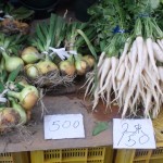 春タマネギと間引き大根