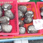 赤貝もおいしそうだ