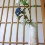 書院にはホタルブクロと山アジサイ