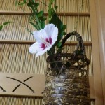 書院に活けられた秋草