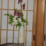 書院のほたるぶくろ