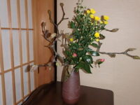 2月の月例坐禅会