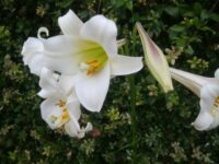 慈眼院の月例坐禅会に参加