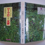 ワープロの中の天使