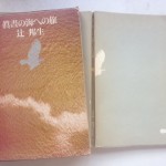 眞晝の海への旅