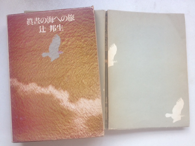 眞晝の海への旅