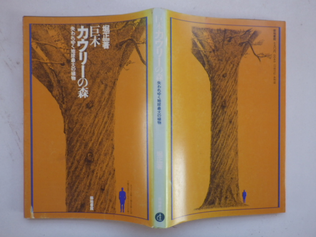 巨木カウリーの森