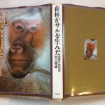 森林がサルを生んだ