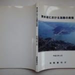 狭水道における海難の実態