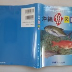 島言語でわかる沖縄魚図鑑