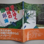 消えゆく沖縄の山・川・海