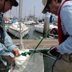 セールにシートを結ぶ