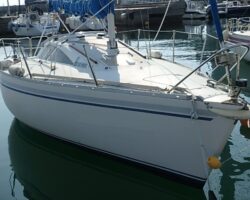 Y26-CEX・・・入荷予定