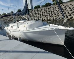 AH24（信天翁24）・・・商談中